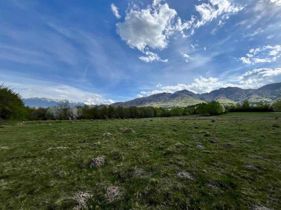 Alpine Chalet เปรเดรุส ภายนอก รูปภาพ