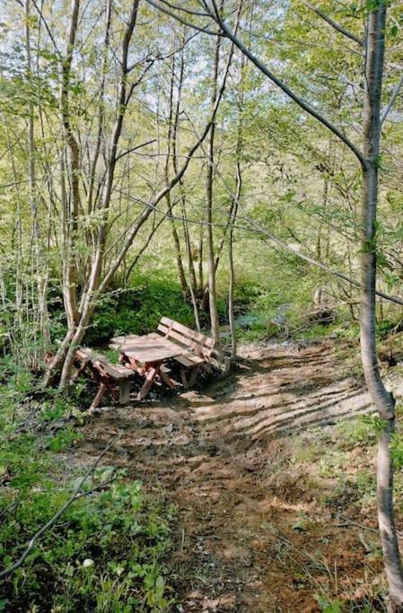 Alpine Chalet เปรเดรุส ภายนอก รูปภาพ